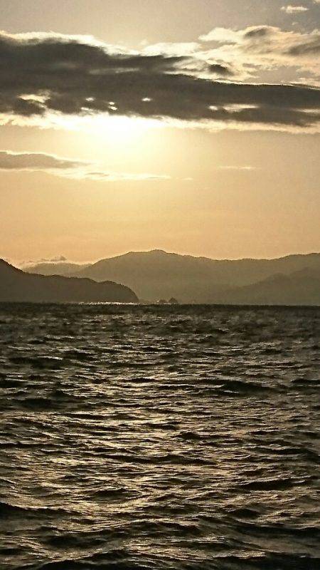 あみや渡船 JIGBOY 釣果