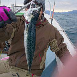 あみや渡船 JIGBOY 釣果