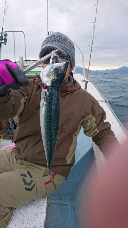 あみや渡船 JIGBOY 釣果