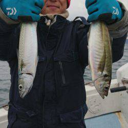 あみや渡船 JIGBOY 釣果