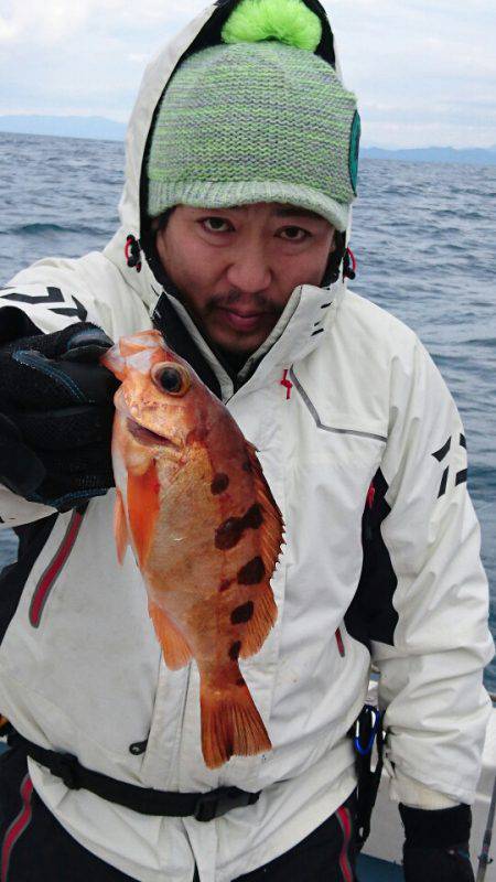 あみや渡船 JIGBOY 釣果