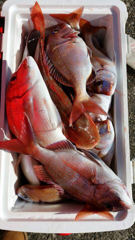 新幸丸 釣果