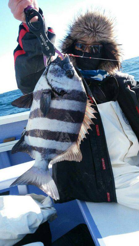 新幸丸 釣果