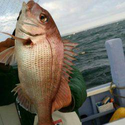 新幸丸 釣果