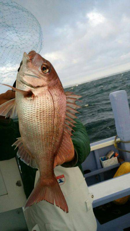 新幸丸 釣果
