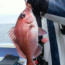 新幸丸 釣果