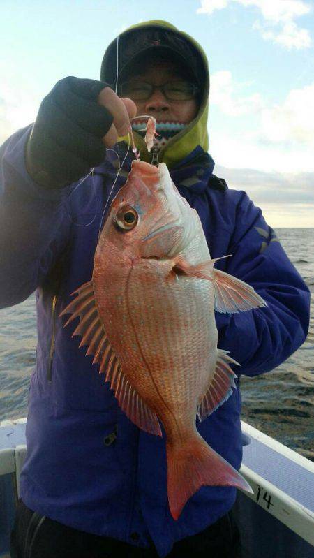 新幸丸 釣果