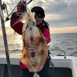 South Current 釣果