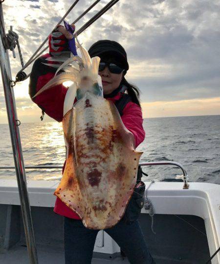 South Current 釣果