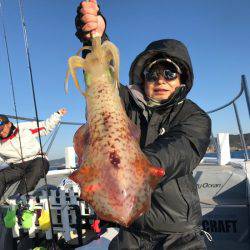 South Current 釣果