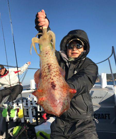 South Current 釣果