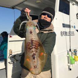 South Current 釣果