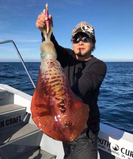 South Current 釣果