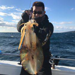 South Current 釣果