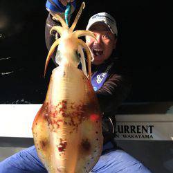 South Current 釣果