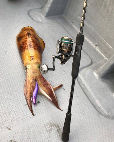 South Current 釣果