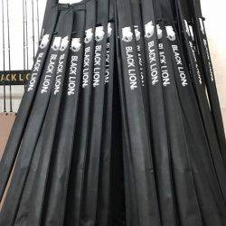 South Current 釣果