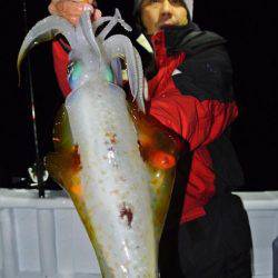 South Current 釣果