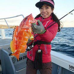 South Current 釣果