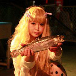 としまえんフィッシングエリア 釣果