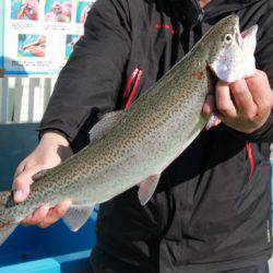 としまえんフィッシングエリア 釣果