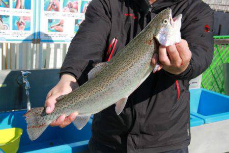 としまえんフィッシングエリア 釣果