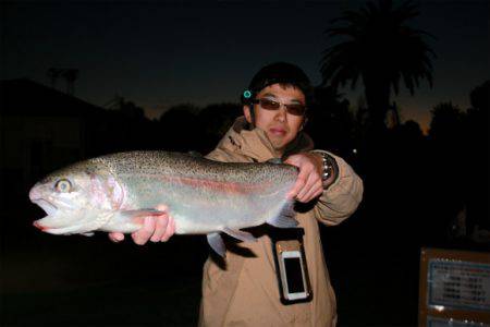 としまえんフィッシングエリア 釣果