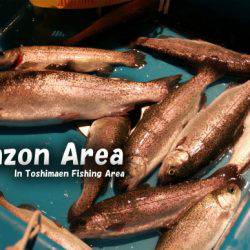 としまえんフィッシングエリア 釣果