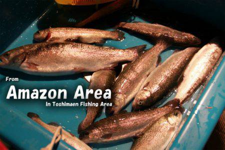 としまえんフィッシングエリア 釣果