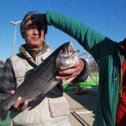 としまえんフィッシングエリア 釣果