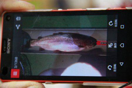 としまえんフィッシングエリア 釣果