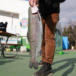 としまえんフィッシングエリア 釣果