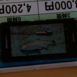 としまえんフィッシングエリア 釣果