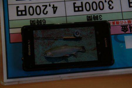 としまえんフィッシングエリア 釣果