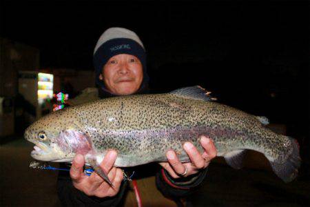 としまえんフィッシングエリア 釣果