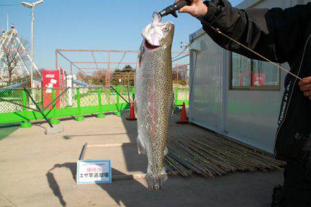 としまえんフィッシングエリア 釣果