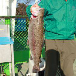 としまえんフィッシングエリア 釣果