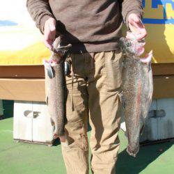 としまえんフィッシングエリア 釣果