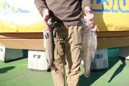 としまえんフィッシングエリア 釣果