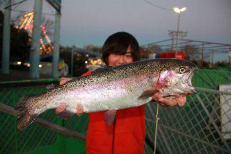 としまえんフィッシングエリア 釣果