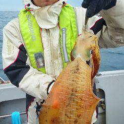 ブルースフィッシングサービス 釣果