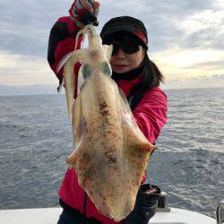 South Current 釣果