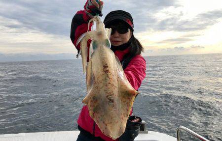 South Current 釣果