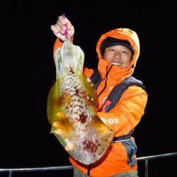 South Current 釣果