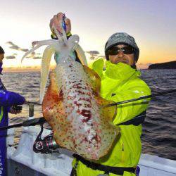 South Current 釣果