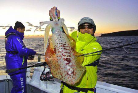 South Current 釣果