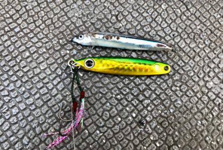 South Current 釣果