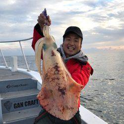 South Current 釣果