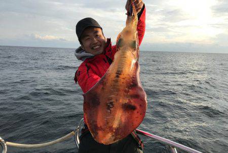 South Current 釣果