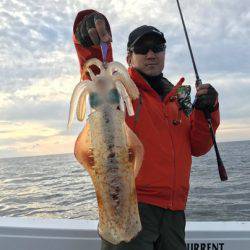 South Current 釣果